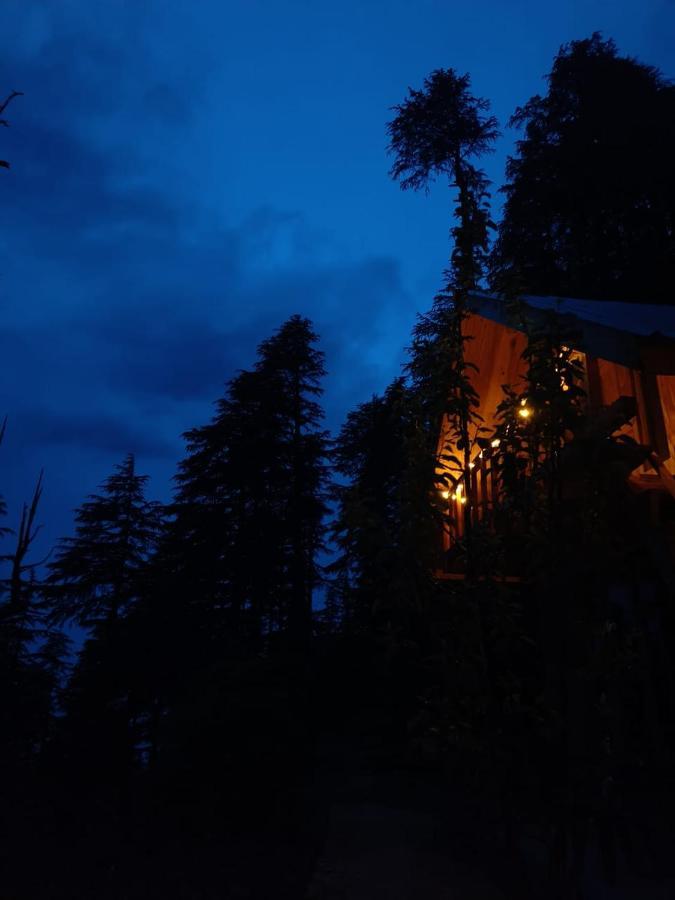 Deep In Woods Vila Jibhi Exterior foto